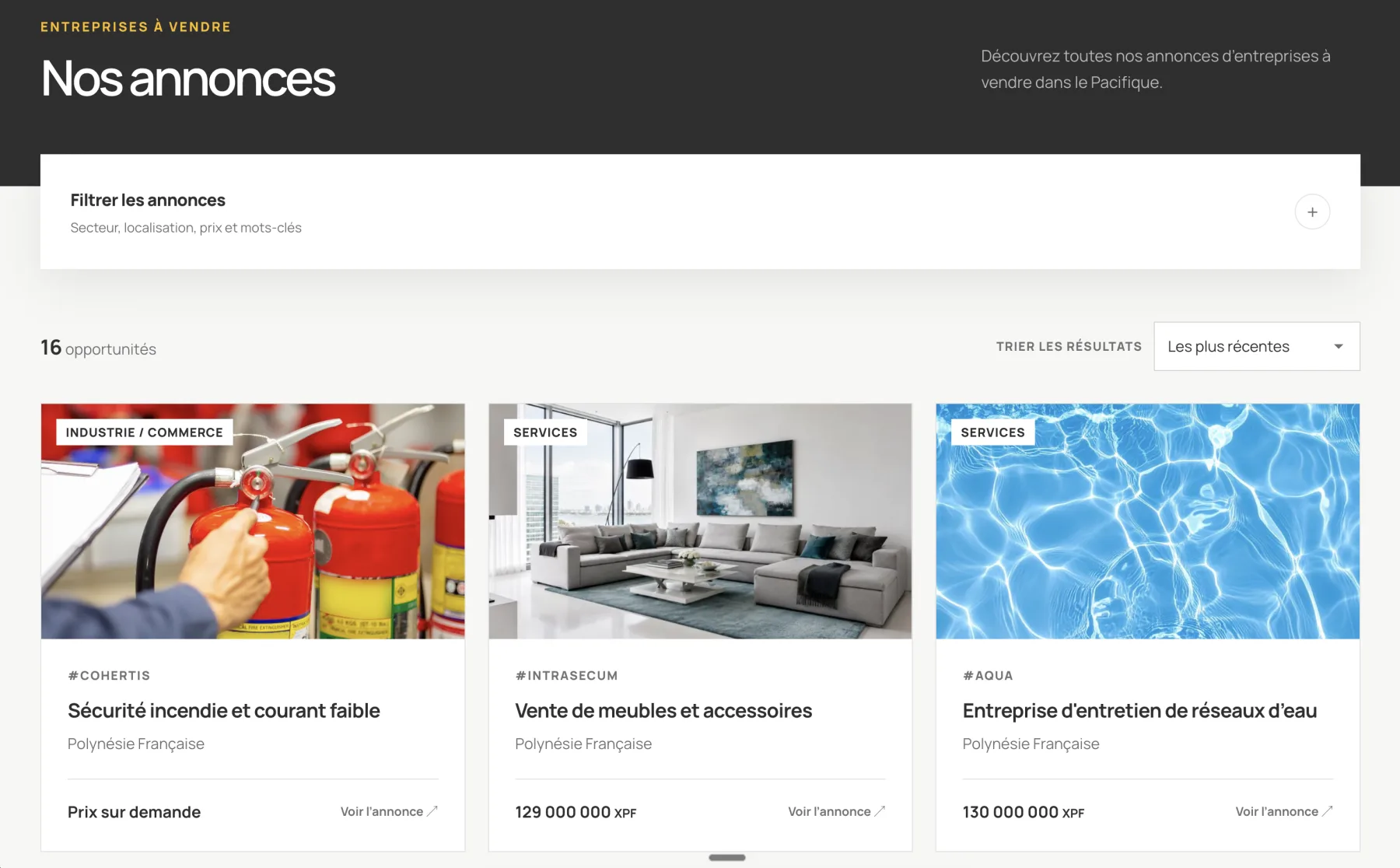 Page des entreprises à vendre avec filtres de recherche et cartes d’annonces